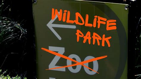 蕪湖度假村哪裏好玩蕪湖度假村內的動物園與遊樂設施哪個更值得一游